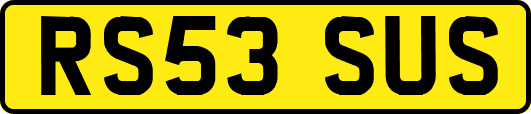 RS53SUS