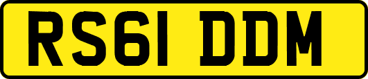 RS61DDM