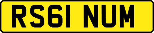 RS61NUM