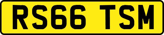 RS66TSM