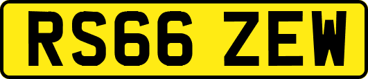 RS66ZEW