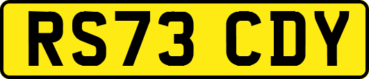 RS73CDY