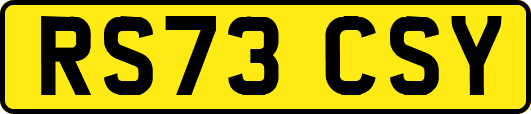 RS73CSY