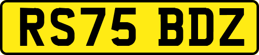 RS75BDZ