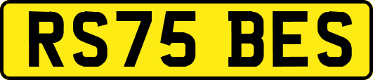 RS75BES