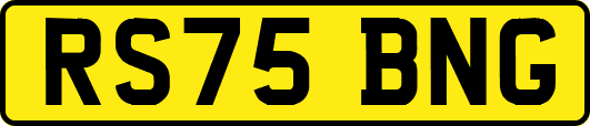 RS75BNG