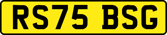 RS75BSG