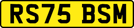 RS75BSM