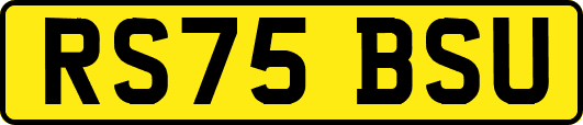 RS75BSU