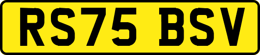 RS75BSV