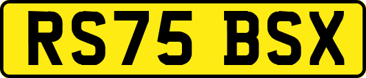 RS75BSX