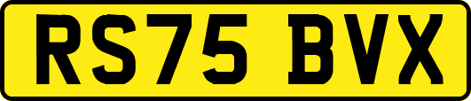 RS75BVX
