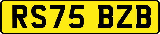 RS75BZB