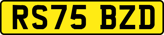 RS75BZD
