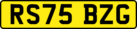 RS75BZG