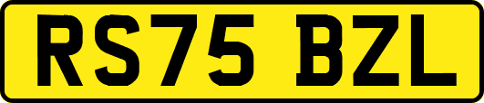 RS75BZL