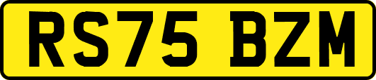 RS75BZM
