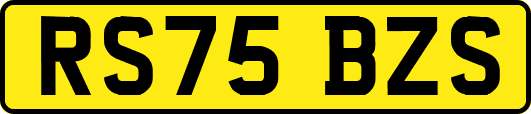 RS75BZS