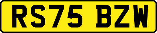RS75BZW
