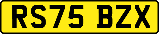 RS75BZX