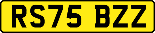 RS75BZZ