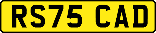 RS75CAD