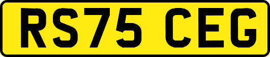 RS75CEG