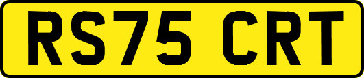 RS75CRT