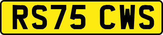 RS75CWS