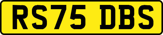 RS75DBS