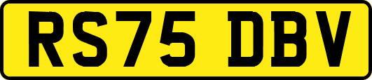 RS75DBV