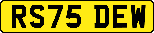 RS75DEW