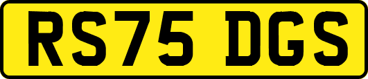 RS75DGS