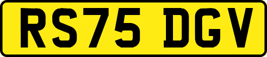 RS75DGV