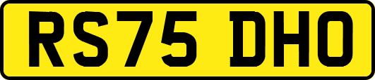 RS75DHO