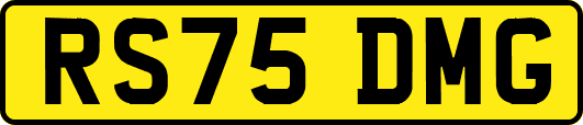 RS75DMG
