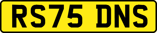 RS75DNS