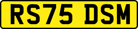 RS75DSM