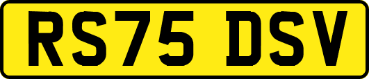 RS75DSV