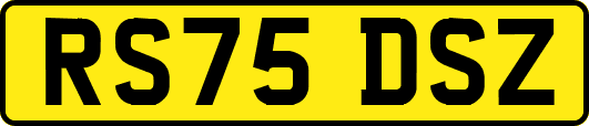 RS75DSZ