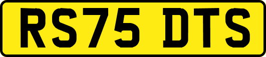 RS75DTS