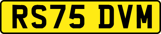 RS75DVM