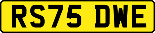 RS75DWE
