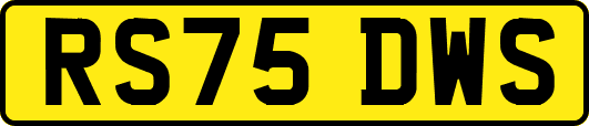 RS75DWS
