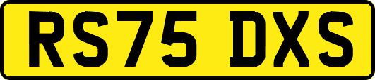 RS75DXS
