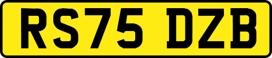 RS75DZB