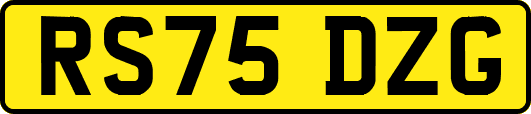 RS75DZG