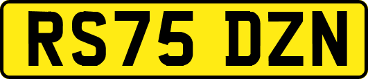 RS75DZN