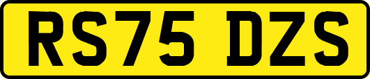 RS75DZS