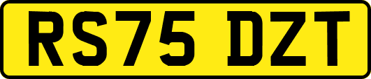 RS75DZT